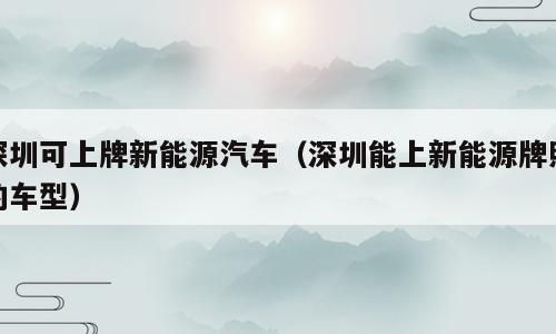 深圳可上牌新能源汽车（深圳能上新能源牌照的车型）