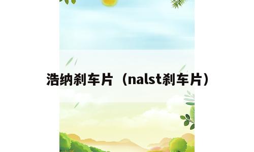 浩纳刹车片（nalst刹车片）