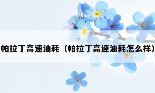 帕拉丁高速油耗（帕拉丁高速油耗怎么样）