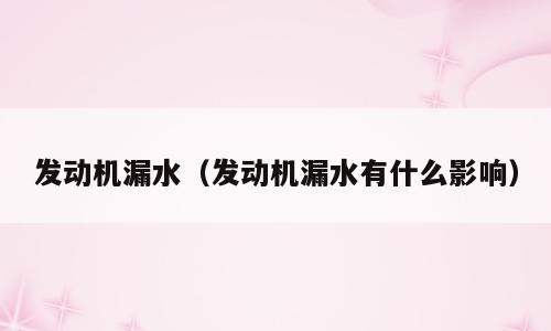 发动机漏水（发动机漏水有什么影响）
