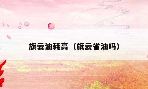 旗云油耗高（旗云省油吗）