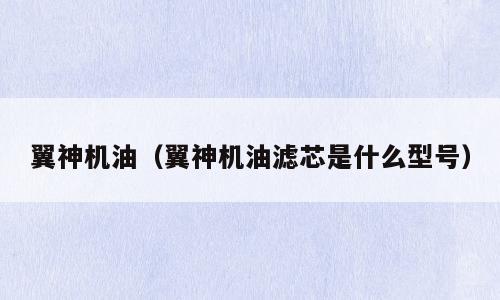 翼神机油（翼神机油滤芯是什么型号）