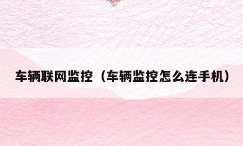 车辆联网监控（车辆监控怎么连手机）
