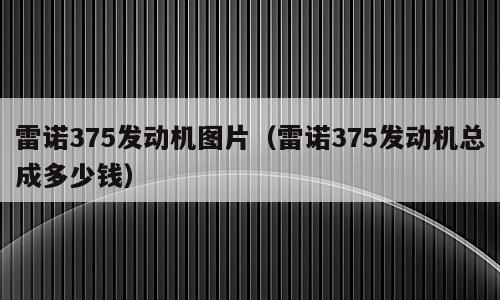 雷诺375发动机图片（雷诺375发动机总成多少钱）