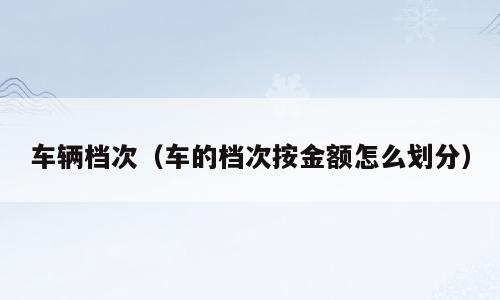 车辆档次（车的档次按金额怎么划分）