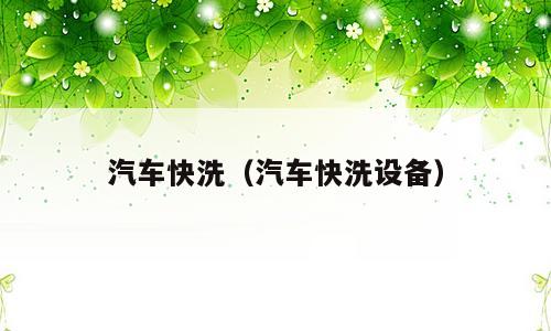汽车快洗（汽车快洗设备）