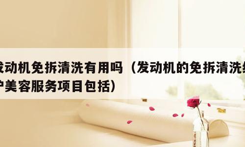 发动机免拆清洗有用吗（发动机的免拆清洗维护美容服务项目包括）