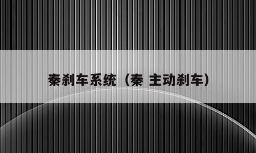 秦刹车系统（秦 主动刹车）