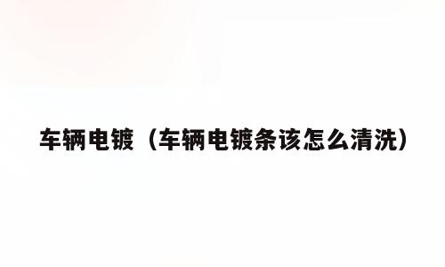 车辆电镀（车辆电镀条该怎么清洗）