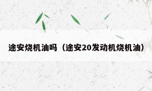 途安烧机油吗（途安20发动机烧机油）