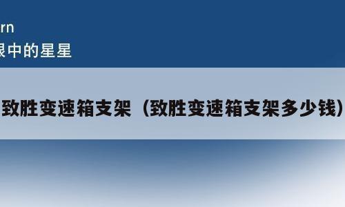 致胜变速箱支架（致胜变速箱支架多少钱）