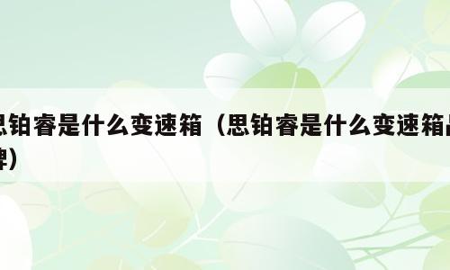 思铂睿是什么变速箱（思铂睿是什么变速箱品牌）
