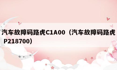 汽车故障码路虎C1A00（汽车故障码路虎 P218700）