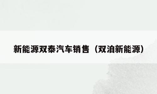 新能源双泰汽车销售（双洎新能源）