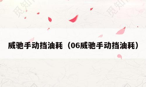 威驰手动挡油耗（06威驰手动挡油耗）