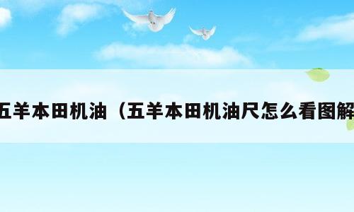 五羊本田机油（五羊本田机油尺怎么看图解）