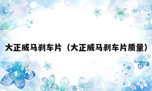 大正威马刹车片（大正威马刹车片质量）