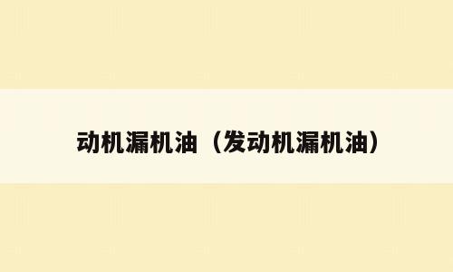 动机漏机油（发动机漏机油）