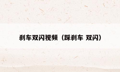 刹车双闪视频（踩刹车 双闪）