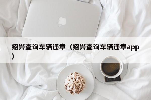 绍兴查询车辆违章（绍兴查询车辆违章app）