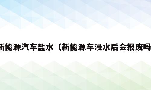 新能源汽车盐水（新能源车浸水后会报废吗）