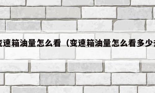 变速箱油量怎么看（变速箱油量怎么看多少升）