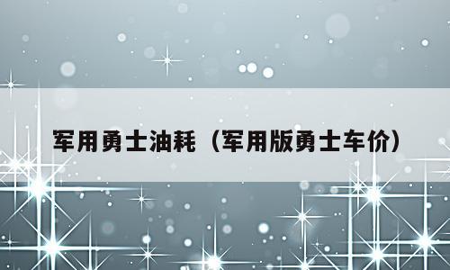 军用勇士油耗（军用版勇士车价）