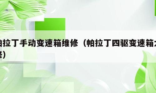 帕拉丁手动变速箱维修（帕拉丁四驱变速箱大修）
