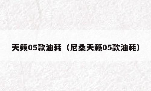 天籁05款油耗（尼桑天籁05款油耗）