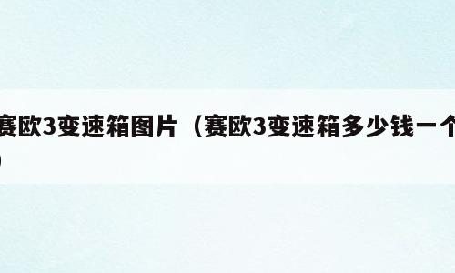 赛欧3变速箱图片（赛欧3变速箱多少钱一个）