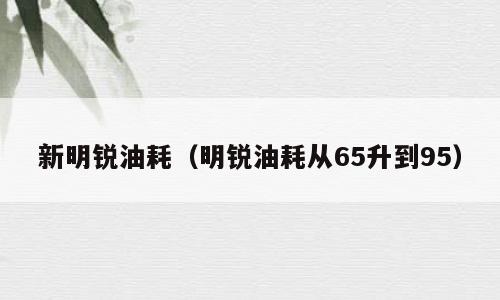 新明锐油耗（明锐油耗从65升到95）