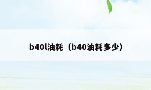 b40l油耗（b40油耗多少）