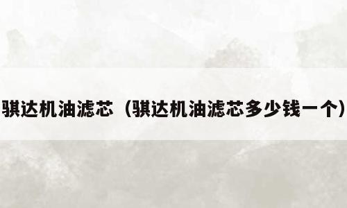 骐达机油滤芯（骐达机油滤芯多少钱一个）