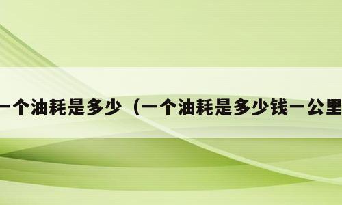 一个油耗是多少（一个油耗是多少钱一公里）