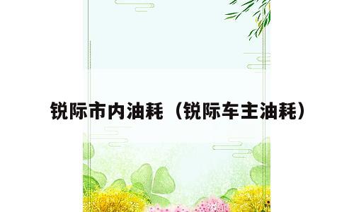 锐际市内油耗（锐际车主油耗）