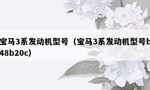 宝马3系发动机型号（宝马3系发动机型号b48b20c）