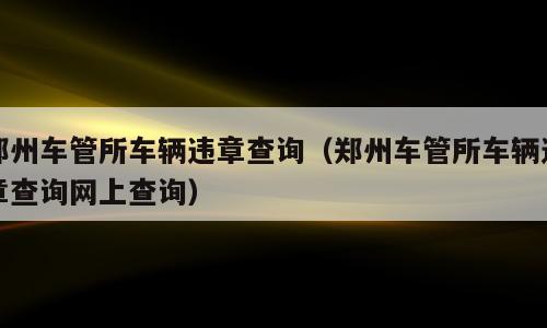 郑州车管所车辆违章查询（郑州车管所车辆违章查询网上查询）