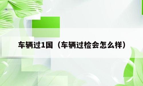 车辆过1国（车辆过检会怎么样）