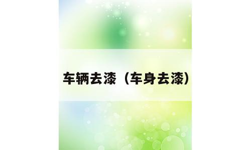 车辆去漆（车身去漆）