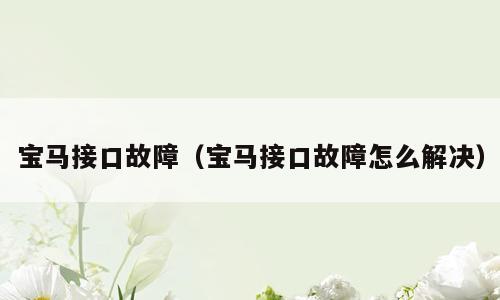 宝马接口故障（宝马接口故障怎么解决）