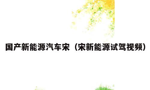 国产新能源汽车宋（宋新能源试驾视频）