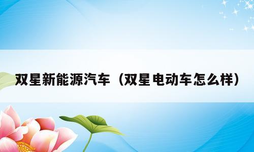 双星新能源汽车（双星电动车怎么样）