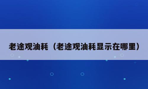 老途观油耗（老途观油耗显示在哪里）