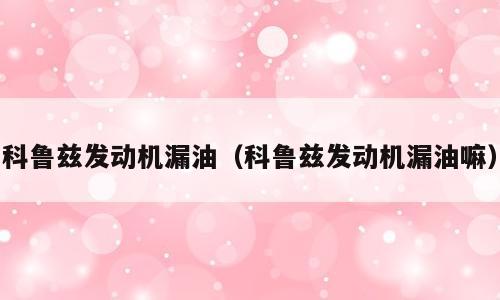 科鲁兹发动机漏油（科鲁兹发动机漏油嘛）
