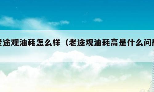 老途观油耗怎么样（老途观油耗高是什么问题）