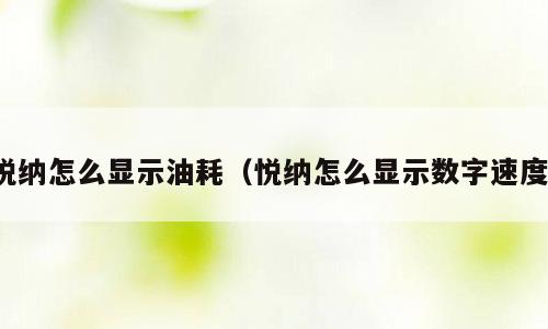 悦纳怎么显示油耗（悦纳怎么显示数字速度）