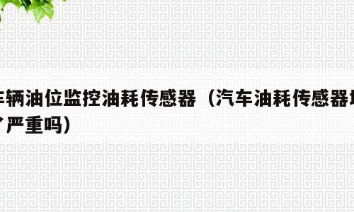 车辆油位监控油耗传感器（汽车油耗传感器坏了严重吗）