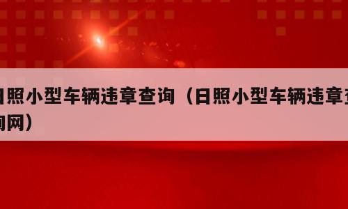 日照小型车辆违章查询（日照小型车辆违章查询网）