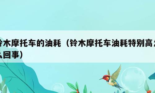 铃木摩托车的油耗（铃木摩托车油耗特别高怎么回事）