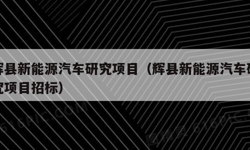 辉县新能源汽车研究项目（辉县新能源汽车研究项目招标）